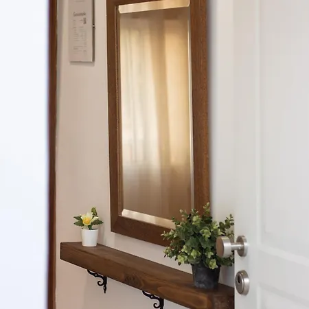 Beachfront House Piles